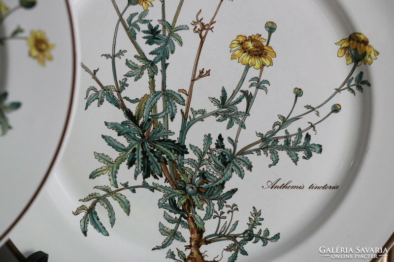Villeroy Botanica lapos  tányér