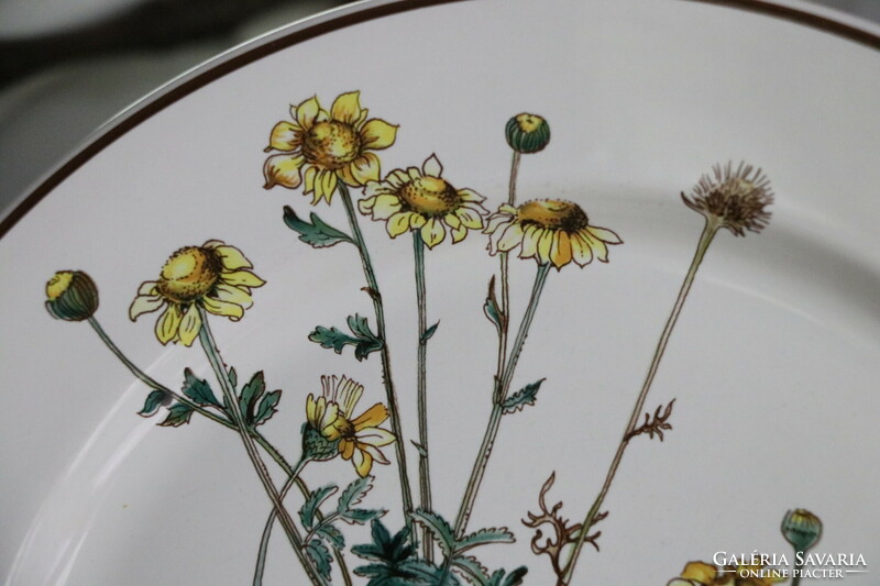 Villeroy Botanica lapos  tányér