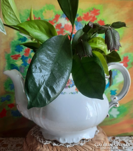 Zsolnay porcelán kanna, kiöntő teás, fedö nélkül hibátlan