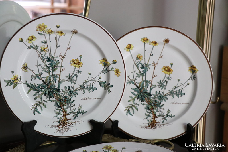 Villeroy Botanica lapos  tányér