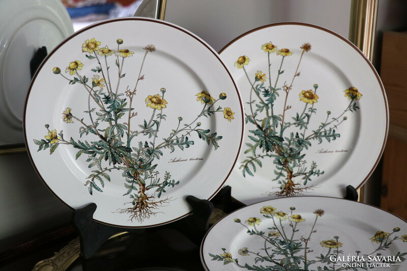 Villeroy Botanica lapos  tányér