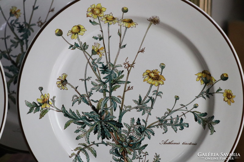 Villeroy Botanica lapos  tányér