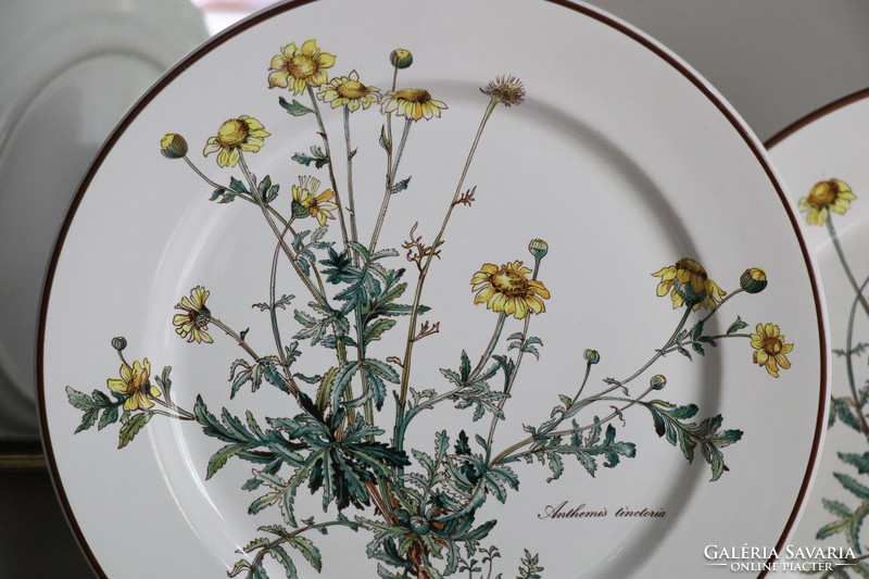 Villeroy Botanica lapos  tányér
