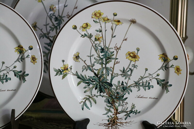 Villeroy Botanica lapos  tányér