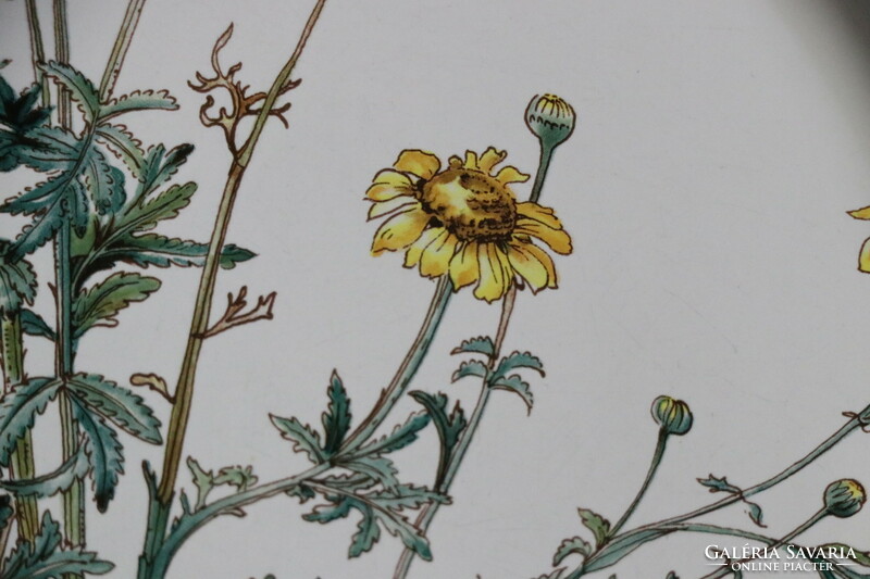 Villeroy Botanica lapos  tányér