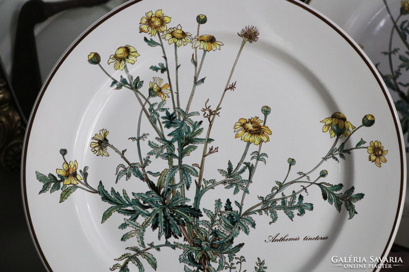 Villeroy Botanica lapos  tányér