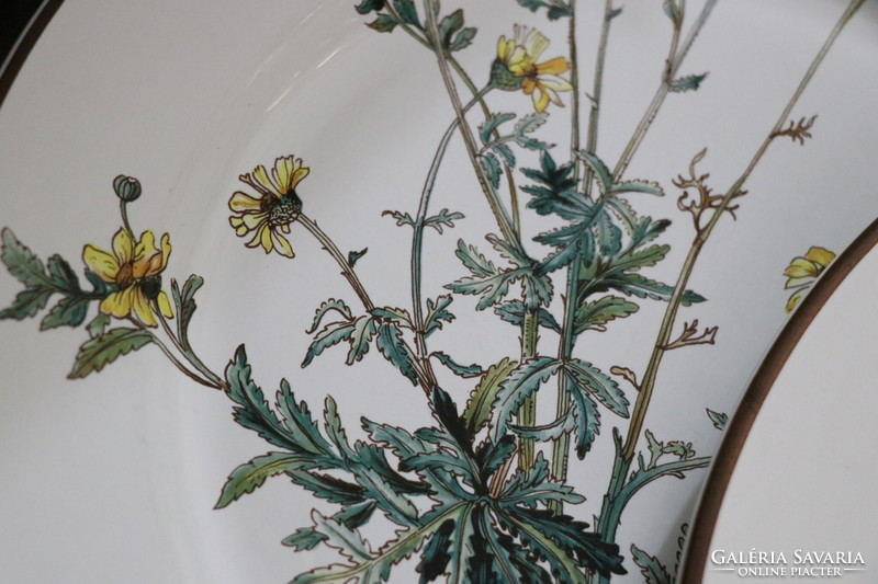 Villeroy Botanica lapos  tányér