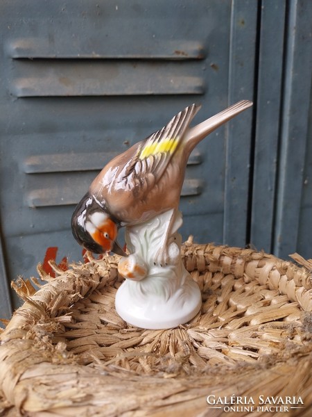 German porcelain bird
