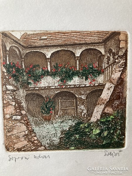 Sulyok gabriella soproni yard colored etching