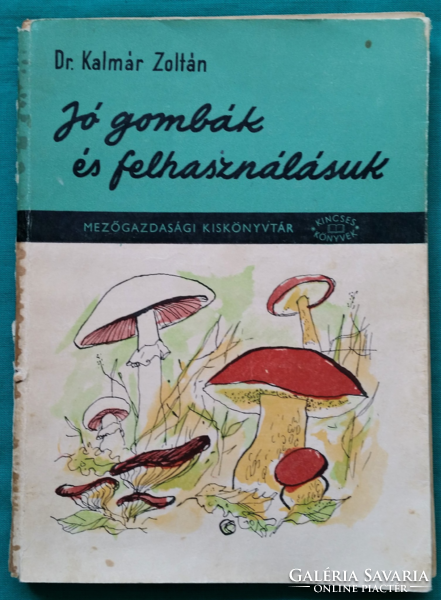 Dr. Zoltán Kalmár: good mushrooms and their use > flora > mushrooms in nature >