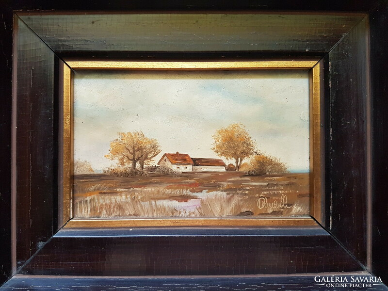 With the signature of a foreign painter ----- village landscape------cheap--- for sale