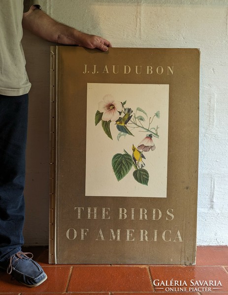 J.J. Audubon- the birds of America Leipzig edition (1972) in German and English