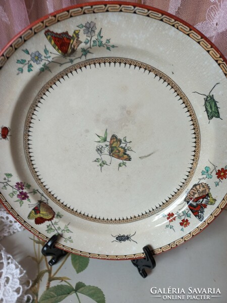 Minton&co butterflay antique earthenware plate