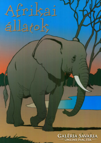 Father: African animals - coloring book - gift with a magical 3D image