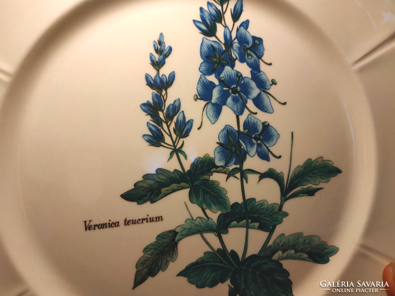 Ritka, angol, növényhatározós porcelán tál, tányér