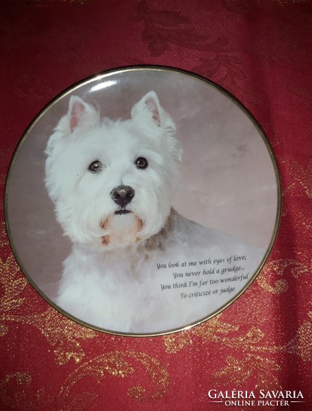 English porcelain decorative plate with a cute westie puppy - in display case