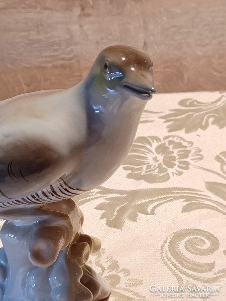 ROYAL DOUX PORCELÁN MADÁR