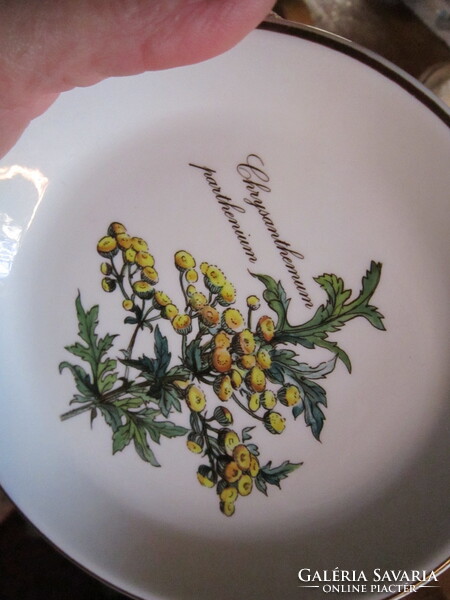 Villeroy Boch botanica tál