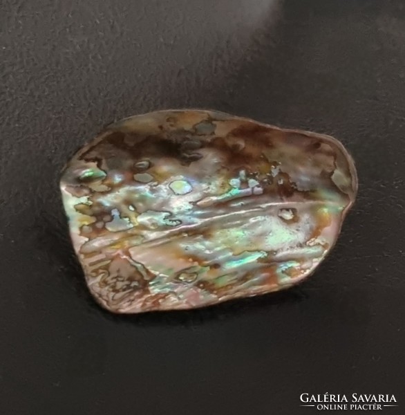 Abalone paua páve színjátszós kagyló bross kitűző