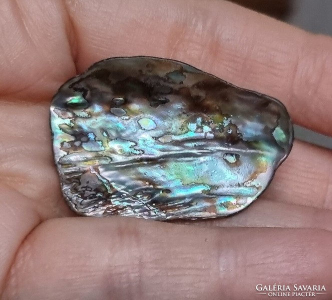 Abalone paua páve színjátszós kagyló bross kitűző