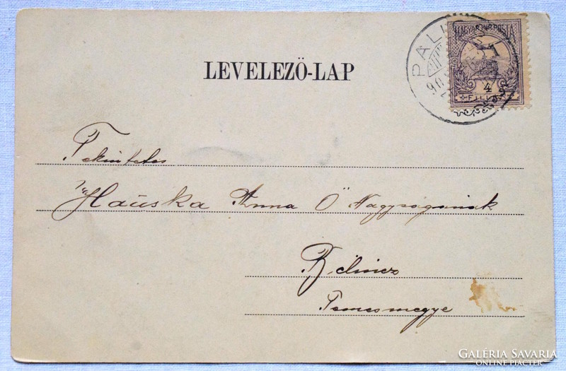 Palics fürdő - Korzórészlet  -  fotó képeslap - 190?