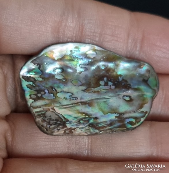 Abalone paua páve színjátszós kagyló bross kitűző