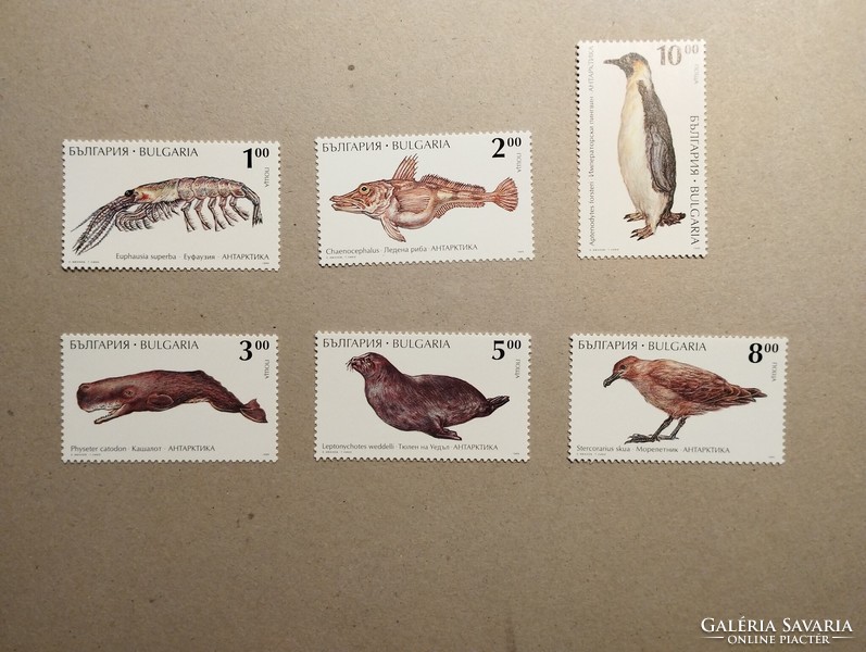 Bulgária - Fauna, Az antarktisz állatai 1995