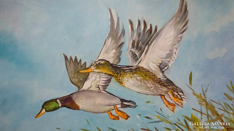 Felröppenő kacsák /  hangulatos olajkép