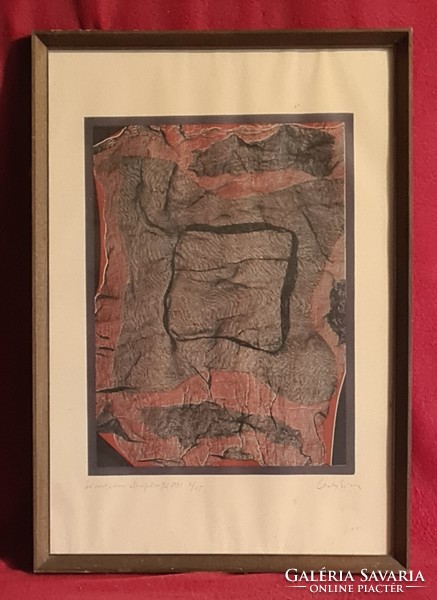 Csorba Simon (1943 - ) : Sziromtérben elhajolva