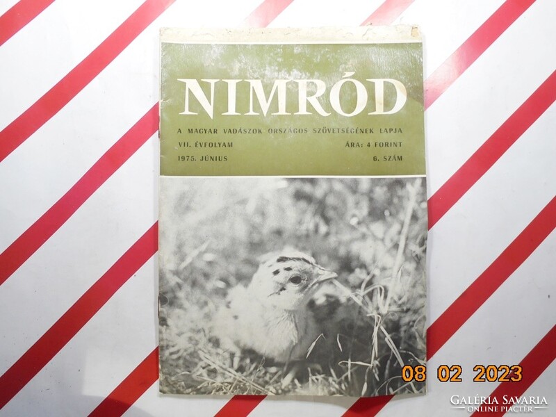 Régi retro újság - Nimród - A Magyar Vadászok Országos Szövet. Lapja - 1975. június - Születésnapra