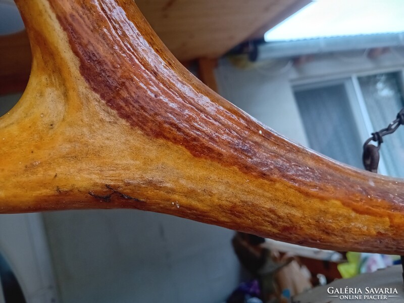 Régi szarvas agancs csillár 97 cm