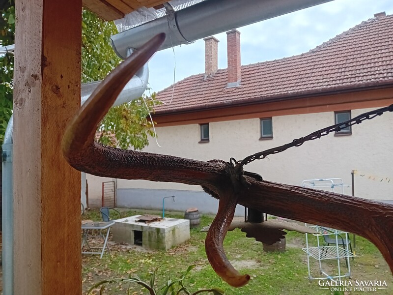 Régi szarvas agancs csillár 97 cm