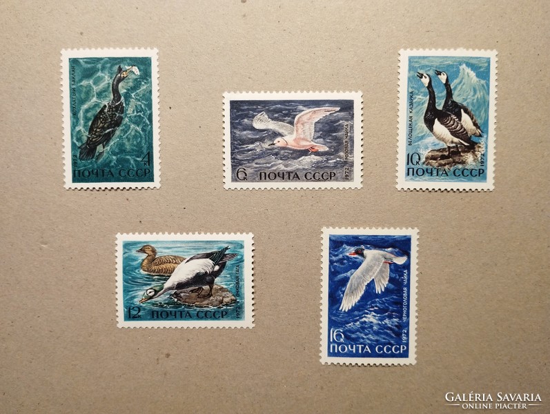 Szovjetunió - Fauna, tengeri madarak 1972