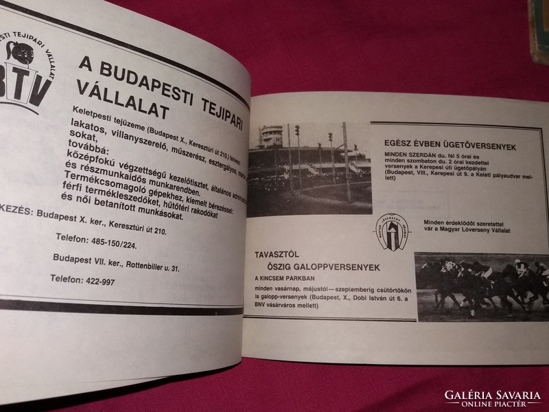1985. Peterdi Pál - Szepes György : Sztár parádé  KARIKATÚRÁK könyv a képek szerint SPORTPROPAGANDA