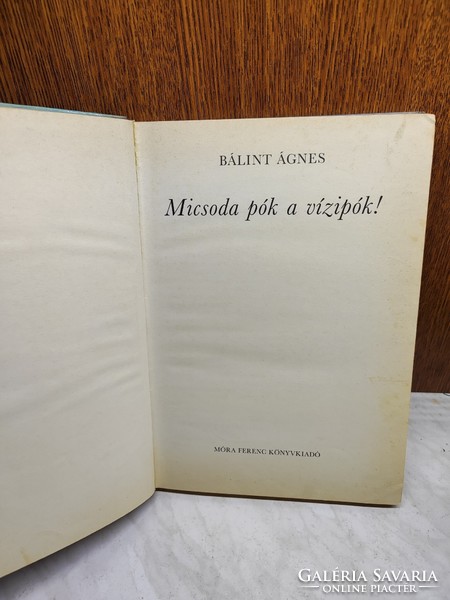 Micsoda pók a vizipók! - Bálint Ágnes 1985