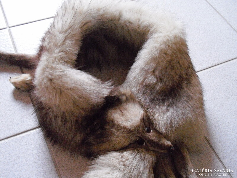 Ezüst róka - egész