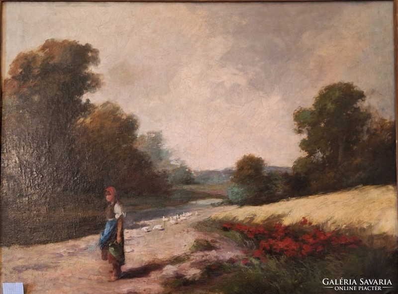 Ács Ágoston 75x100