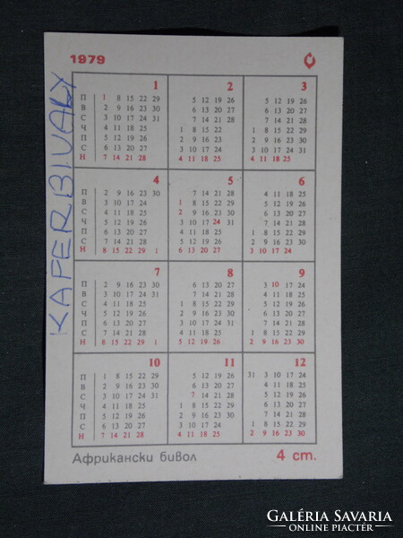 Kártyanaptár,Bulgária,állatok sorozat,Kaffer bivaly, 1979,  (8)   -sérült-