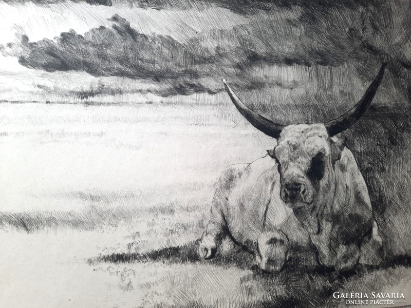 Bencze László: Magyar bika - eredeti jelzett rézkarc