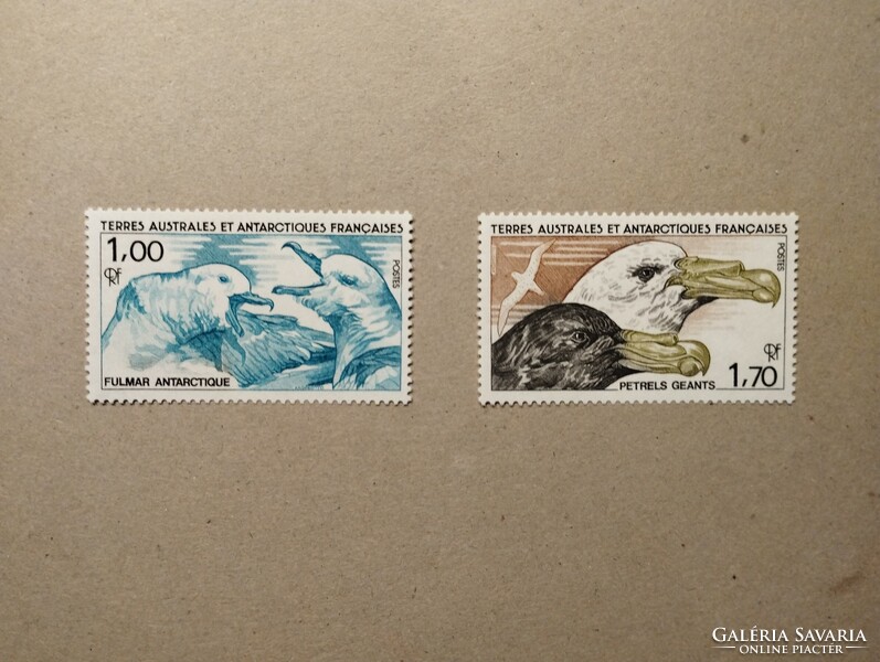Francia Antarktiszi terület - Fauna, madarak 1986