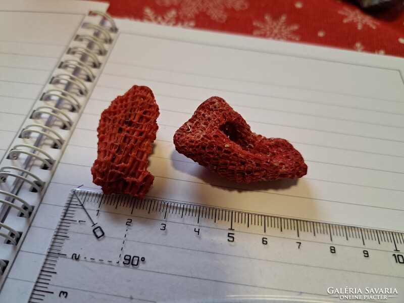 Eredeti vörös bambusz korall 2db  Indonezia/ Dél- kínai tenger