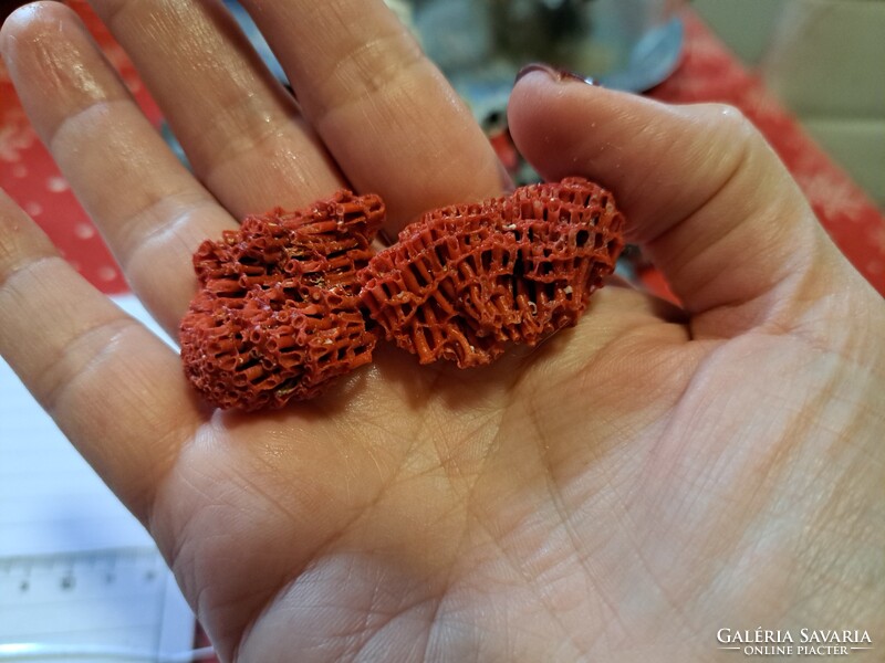 Eredeti vörös bambusz korall 2db  Indonezia/ Dél- kínai tenger