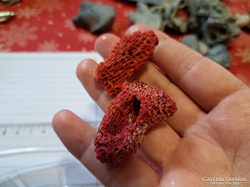 Eredeti vörös bambusz korall 2db  Indonezia/ Dél- kínai tenger