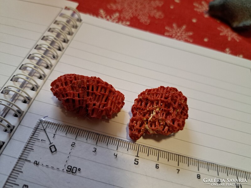 Eredeti vörös bambusz korall 2db  Indonezia/ Dél- kínai tenger