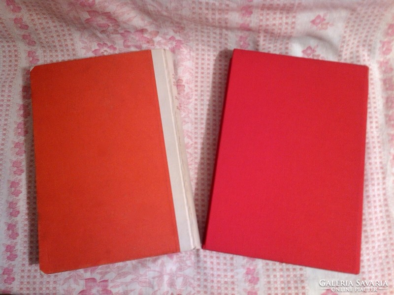 Adolf HItler Mein Kampf 1925/1927 Volume 1+2