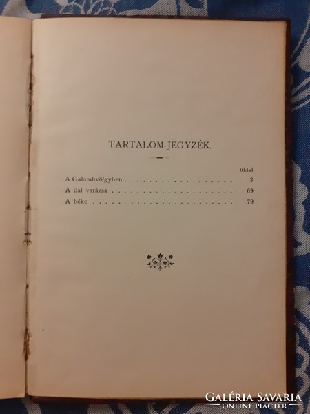 1898 Tábori Róbertné (Tutsek Anna) A galambvölgyben