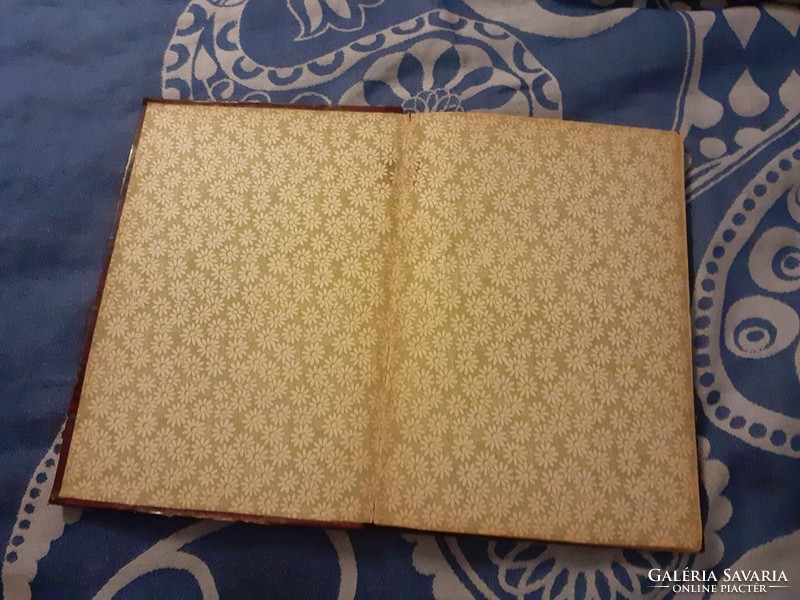 1898 Tábori Róbertné (Tutsek Anna) A galambvölgyben