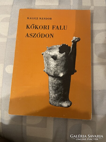 Kalicz  Nándor kőkori falu Aszód on c könyv