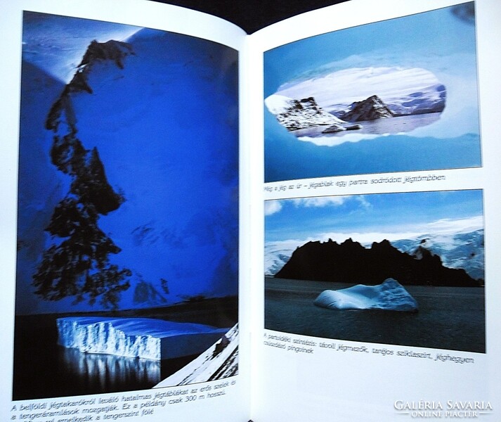 Fiar Sándor, Nagy Balázs: Olvadó jövő. Magyar expedíció az Antarktiszon