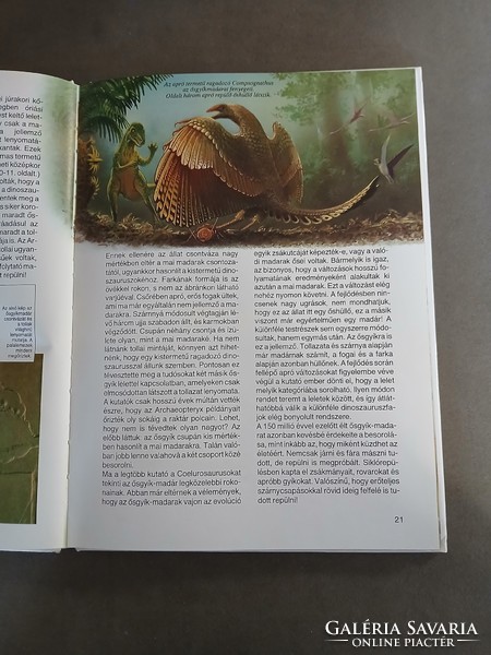 Mi-Micsoda - Dinoszauruszok 29. - 1995